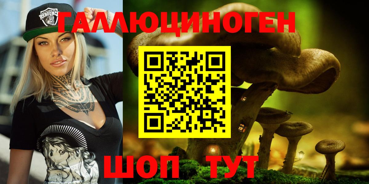 Славянск-на-Кубани  как найти   Вход с VPN  Псилоцибиновые грибы Psilocybine cubensis  Псилоцибиновые грибы мухоморы 
